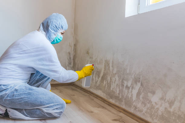 Licensed Mold Testing service in Denville, NJ - WQB Mold Removal