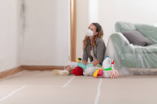 Reliable Mold Testing contractor in Denville, NJ by WQB Mold Removal